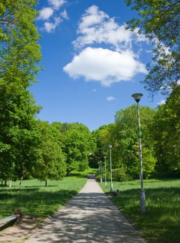 trail in the summer the park, blue sky