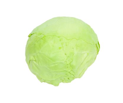 Green cabbage isolated on white background. 