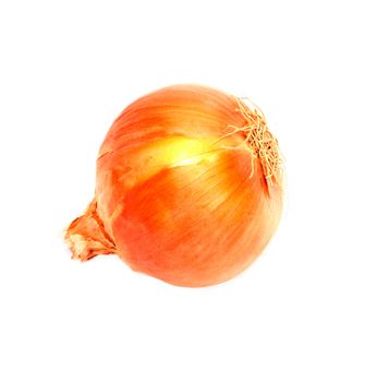 Ripe onion on a white background 