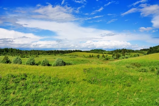 summer landscape