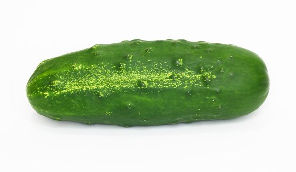 Cucumber isolated on white background. 