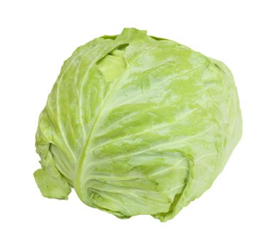 Cabbage isolated on a white background