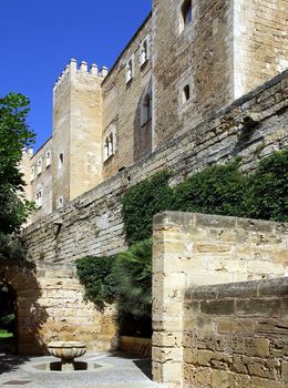 Garden view of the cathedral La Seu in Palma Mallorca