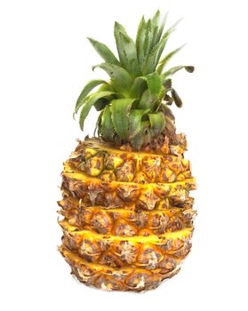 fresh pineapple on white background 