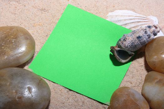 Green scratch paper on sand with cockleshells and river pebbles.