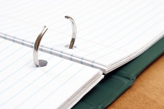 An opened binder with lined paper and rings ready for inserts.