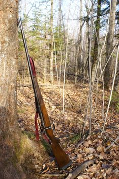 A hunting rifle leaning against a tree.