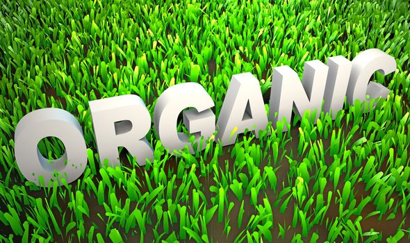Orgranically Grown in Organic Environment as 3d