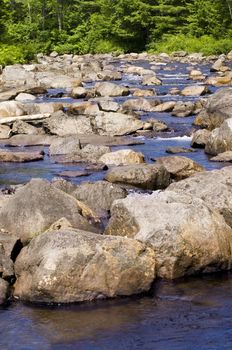 Wooded stream with many rocks and babbling water