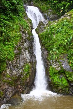 Beautiful Dona Juana Falls in the Cordillera Central rainforests of Puerto Rico.