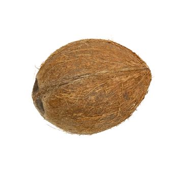 coconut isolated on white background 