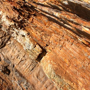 Jagged rock wall on a cliff in the British Virgin Islands.