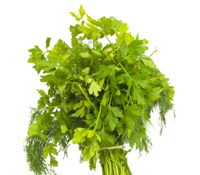 dill and parsley isolated on a white background 