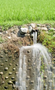 It is a outfall and paddy fields.