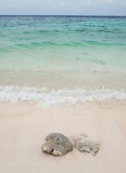 Beautiful beach with corals in  Long beach Coral Island