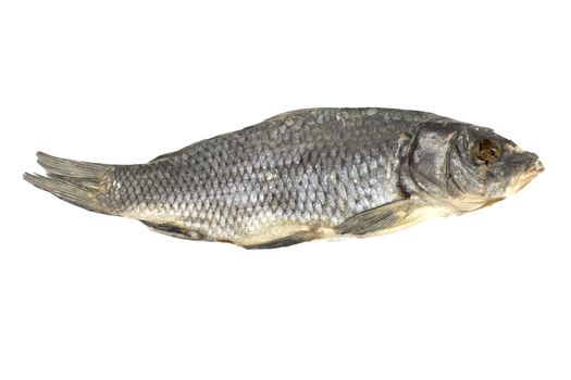 Dried fish allocated on a white background 