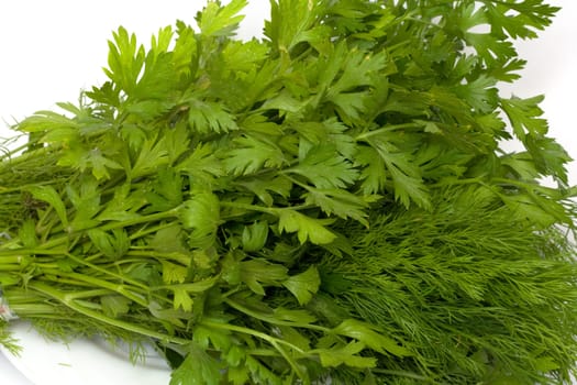 dill and parsley