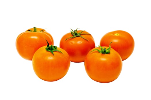 Tomatoes; objects on white background  
