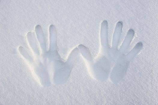 Imprint of two hands on the white sand