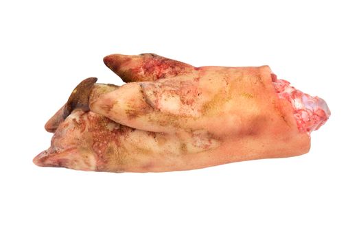 pork leg on white background 