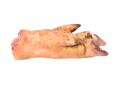 pork leg on white background 