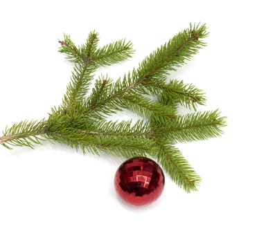 xmas tree ball hanging on a Christmas tree branch, isolated 