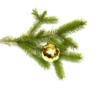 xmas tree ball hanging on a Christmas tree branch, isolated 