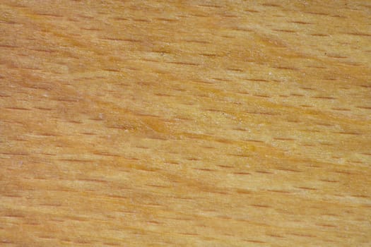 Texture of wood background closeup 