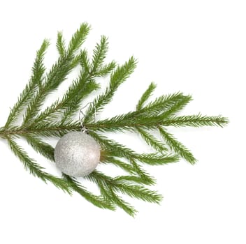 xmas tree ball hanging on a Christmas tree branch, isolated 