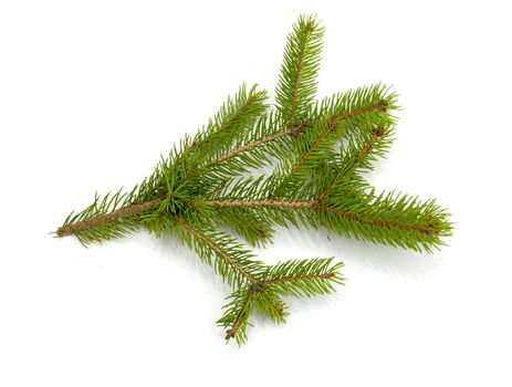 Christmas green framework isolated on white background 