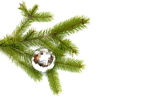 xmas tree ball hanging on a Christmas tree branch, isolated 
