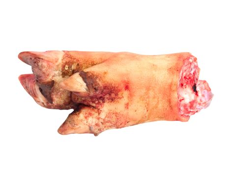 pork leg on white background 
