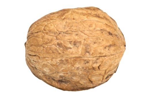 Walnut isolated on white background 
