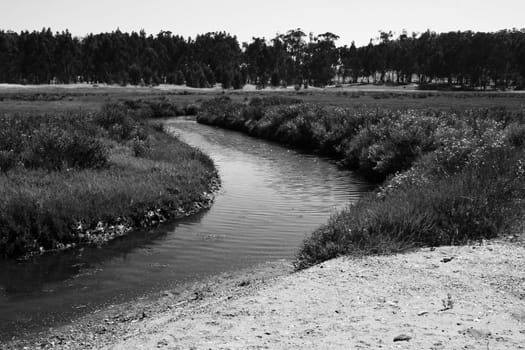 Infinite river in a park on a sunny day.