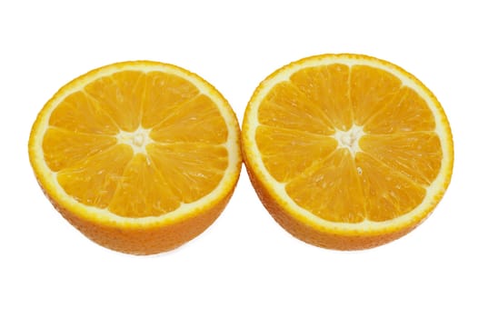 oranges on white background 