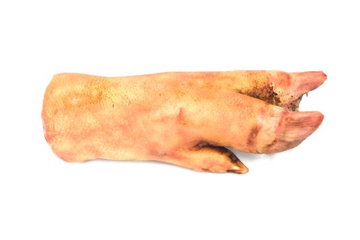 pork leg on white background 