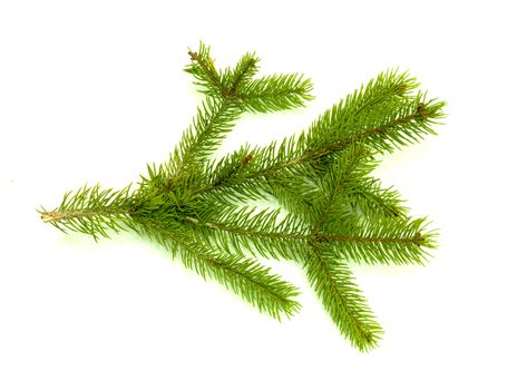 Christmas green framework isolated on white background 
