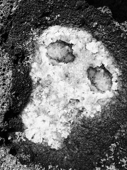 Freshly crystallised sea salt or sodium chloride in shape of a skull symbolising salt as a table killer