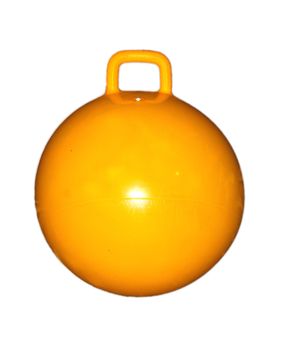 yellow ball with handle