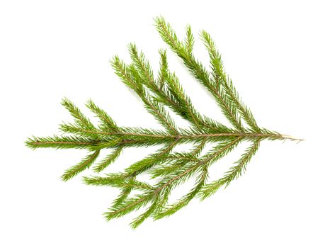 Christmas green framework isolated on white background 