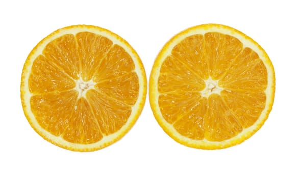 oranges on white background 