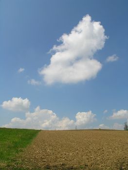 Agricultural field and blue sky