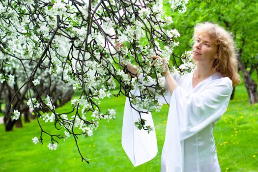 Tne blonde girl in white dress and apple-tree with white flowers
