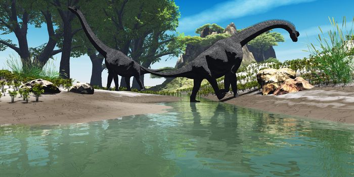 Two titanic Brachiosaurus dinosaurs look for food along the banks of a stream.