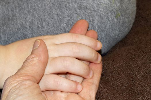 Young toddler's hand held in grandmother's hand offers contrast of young and old with generational connection; 