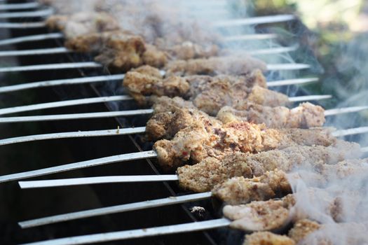 Shish kebab 