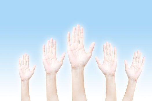 Hand, raised hand up isolated on white