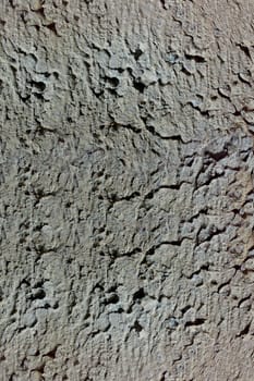  concrete texture
