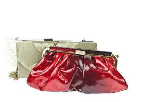 The women clutch bag isolated on white background