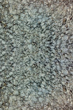 Asphalt texture
